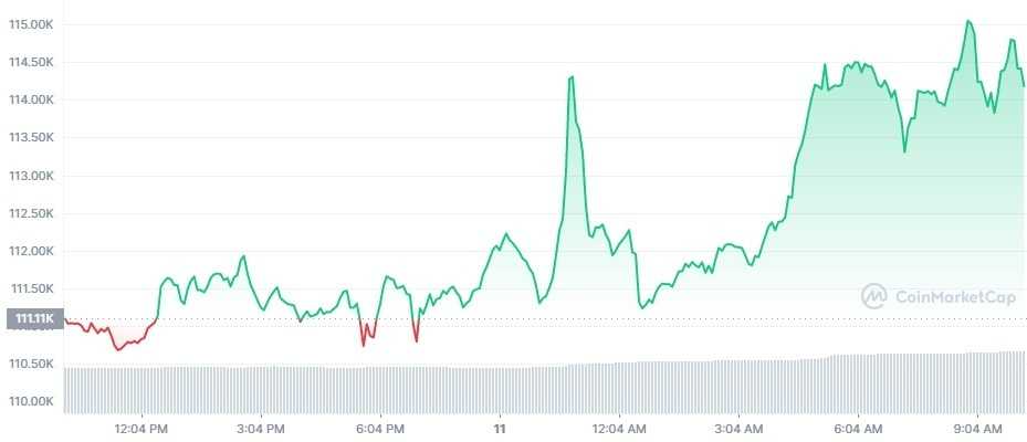 Gráfico de preço do Bitcoin nas últiams 24 horas