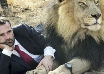 Tem PRIO3 na carteira? Prazo para escapar do IR termina quinta-feira