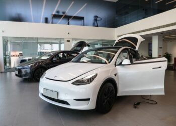 Problemas automotivos da Tesla batem nos sonhos de Elon Musk com a IA