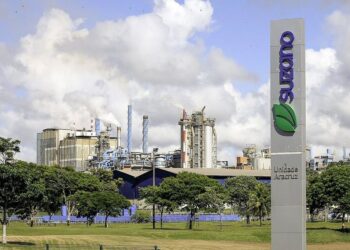 Suzano [SUZB3]: Goldman Sachs eleva recomendação para compra