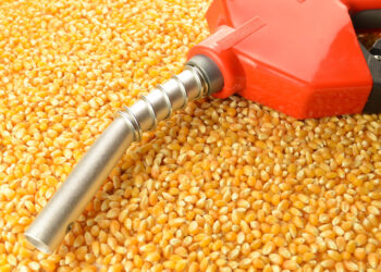 Biodiesel a 15% promete aliviar preços de combustíveis e alimentos no Brasil