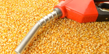 Biodiesel a 15% promete aliviar preços de combustíveis e alimentos no Brasil