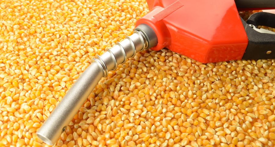 biodiesel_1500