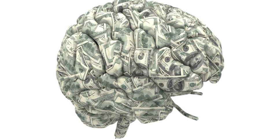 Money,Brain,Isolated,On,White,Background,With,Clipping,Path