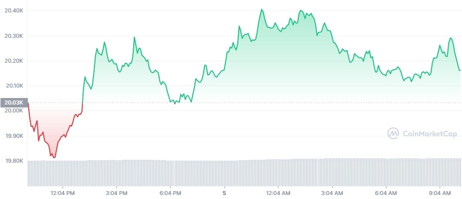 Gráfico de preço do Bitcoin (BTC) em 24 horas